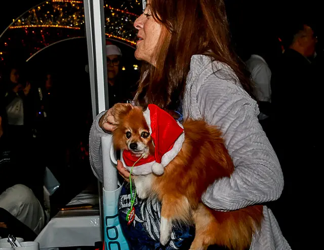 A guest with a dog in holiday attire
